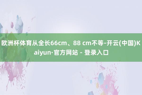欧洲杯体育从全长66cm、88 cm不等-开云(中国)Kaiyun·官方网站 - 登录入口