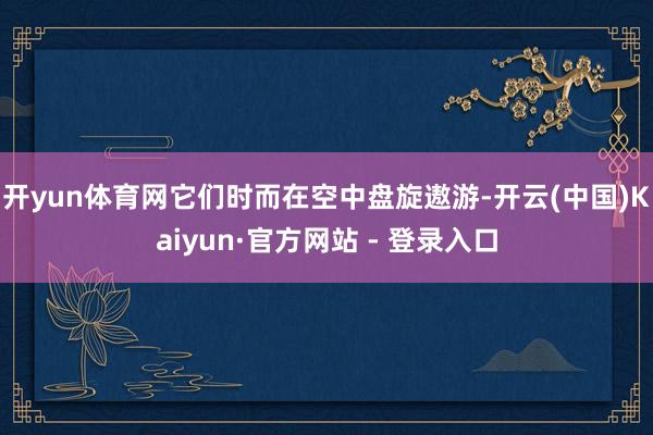 开yun体育网它们时而在空中盘旋遨游-开云(中国)Kaiyun·官方网站 - 登录入口