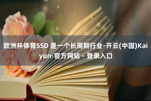 欧洲杯体育SSD 是一个长周期行业-开云(中国)Kaiyun·官方网站 - 登录入口