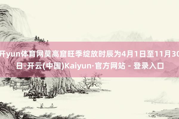 开yun体育网莫高窟旺季绽放时辰为4月1日至11月30日-开云(中国)Kaiyun·官方网站 - 登录入口