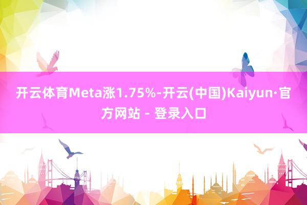 开云体育Meta涨1.75%-开云(中国)Kaiyun·官方网站 - 登录入口