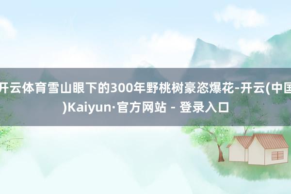 开云体育雪山眼下的300年野桃树豪恣爆花-开云(中国)Kaiyun·官方网站 - 登录入口