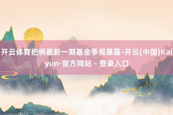 开云体育把柄最新一期基金季报暴露-开云(中国)Kaiyun·官方网站 - 登录入口