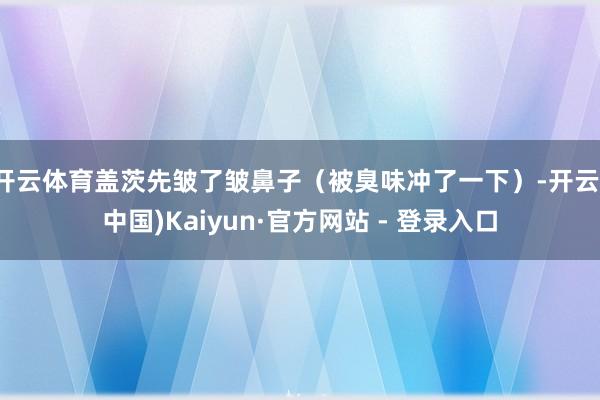 开云体育盖茨先皱了皱鼻子（被臭味冲了一下）-开云(中国)Kaiyun·官方网站 - 登录入口