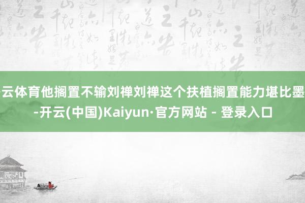 开云体育他搁置不输刘禅刘禅这个扶植搁置能力堪比墨子-开云(中国)Kaiyun·官方网站 - 登录入口