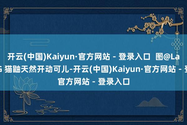 开云(中国)Kaiyun·官方网站 - 登录入口  图@Lachlan.G 猫鼬天然开动可儿-开云(中国)Kaiyun·官方网站 - 登录入口