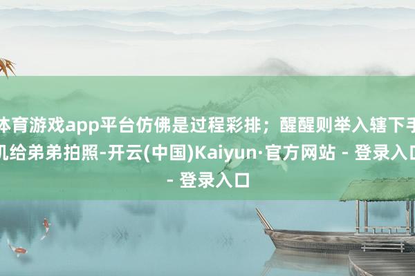 体育游戏app平台仿佛是过程彩排；醒醒则举入辖下手机给弟弟拍照-开云(中国)Kaiyun·官方网站 - 登录入口