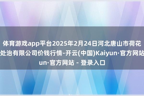 体育游戏app平台2025年2月24日河北唐山市荷花坑商场诡计处治有限公司价钱行情-开云(中国)Kaiyun·官方网站 - 登录入口