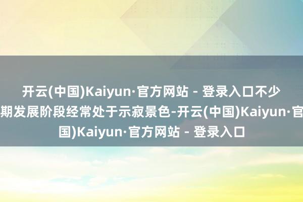 开云(中国)Kaiyun·官方网站 - 登录入口不少高新手艺企业在早期发展阶段经常处于示寂景色-开云(中国)Kaiyun·官方网站 - 登录入口