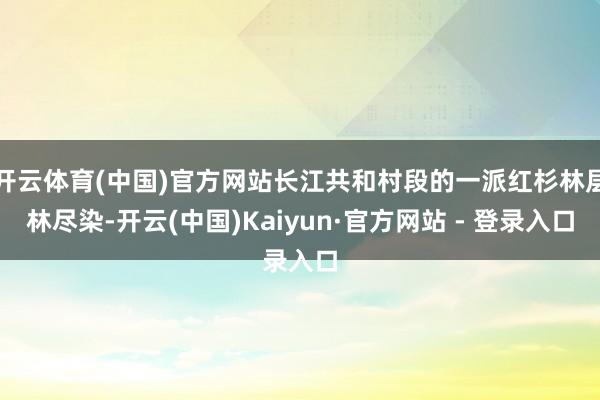 开云体育(中国)官方网站长江共和村段的一派红杉林层林尽染-开云(中国)Kaiyun·官方网站 - 登录入口