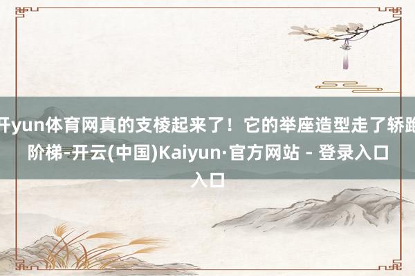 开yun体育网真的支棱起来了！它的举座造型走了轿跑阶梯-开云(中国)Kaiyun·官方网站 - 登录入口