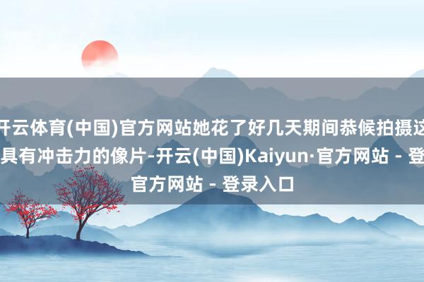 开云体育(中国)官方网站她花了好几天期间恭候拍摄这么一张具有冲击力的像片-开云(中国)Kaiyun·官方网站 - 登录入口
