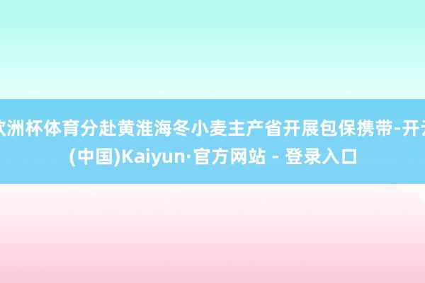 欧洲杯体育分赴黄淮海冬小麦主产省开展包保携带-开云(中国)Kaiyun·官方网站 - 登录入口