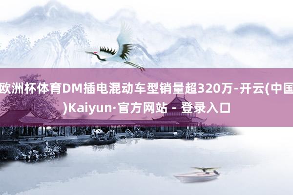 欧洲杯体育DM插电混动车型销量超320万-开云(中国)Kaiyun·官方网站 - 登录入口