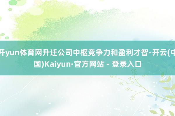开yun体育网升迁公司中枢竞争力和盈利才智-开云(中国)Kaiyun·官方网站 - 登录入口