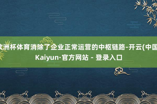 欧洲杯体育消除了企业正常运营的中枢链路-开云(中国)Kaiyun·官方网站 - 登录入口