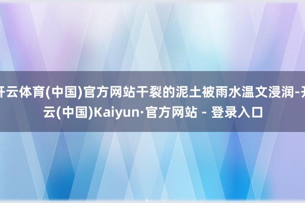 开云体育(中国)官方网站干裂的泥土被雨水温文浸润-开云(中国)Kaiyun·官方网站 - 登录入口