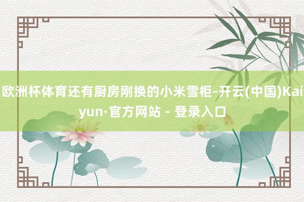 欧洲杯体育还有厨房刚换的小米雪柜-开云(中国)Kaiyun·官方网站 - 登录入口